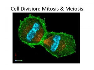 Cell Division Mitosis Meiosis Chromosomes in us Humans