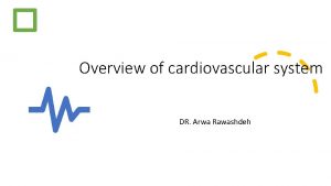 Overview of cardiovascular system DR Arwa Rawashdeh Overview