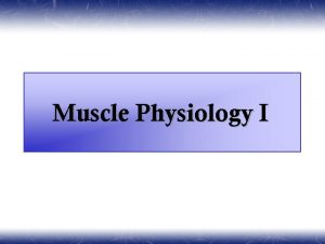 Muscle Physiology I Muscle cells are highly specialized