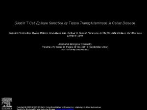 Gliadin T Cell Epitope Selection by Tissue Transglutaminase