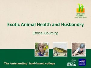 Exotic Animal Health and Husbandry Ethical Sourcing By