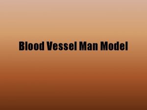 Blood Vessel Man Model Arteries Right Common Carotid