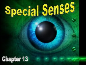 1 Special Senses Our special senses are those