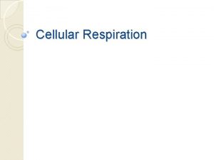 Cellular Respiration Respiration to breathe Breathing at the