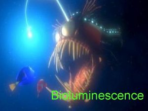 Bioluminescence Bioluminescence BIO means LIFE Luminescence means LIGHT