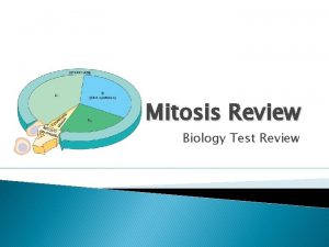 Mitosis Review Biology Test Review Interphase where the