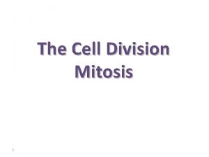 The Cell Division Mitosis 1 Cell Division Cell