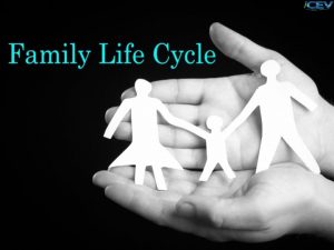 Objectives To describe stages of the family life