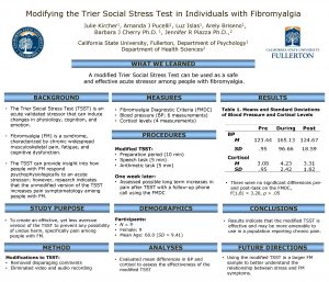 Modifying the Trier Social Stress Test in Individuals