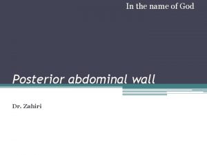 In the name of God Posterior abdominal wall