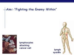 Aim Fighting the Enemy Within lymphocytes attacking cancer