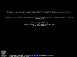 Triosephosphate Isomerase TIM of the Psychrophilic Bacterium Vibrio