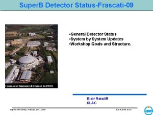 Super B Detector StatusFrascati09 General Detector Status System