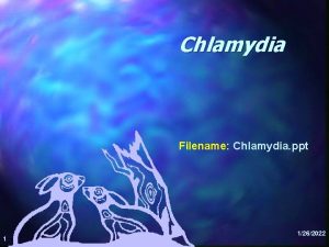 Chlamydia Filename Chlamydia ppt 1 1262022 Chlamydia 2