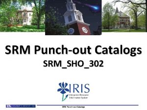 SRM Punchout Catalogs SRMSHO302 SRM Punchout Catalogs What