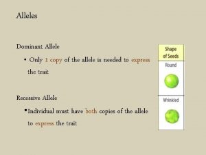 Alleles Dominant Allele Only 1 copy of the