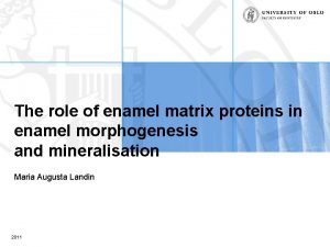 The role of enamel matrix proteins in enamel