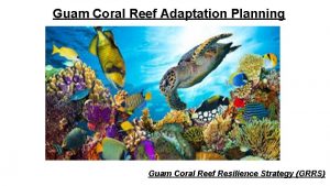 Guam Coral Reef Adaptation Planning Guam Coral Reef