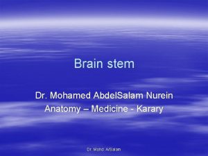 Brain stem Dr Mohamed Abdel Salam Nurein Anatomy