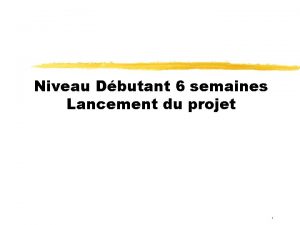 Niveau Dbutant 6 semaines Lancement du projet 1