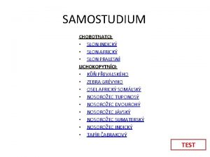 SAMOSTUDIUM CHOBOTNATCI SLON INDICK SLON AFRICK SLON PRALESN