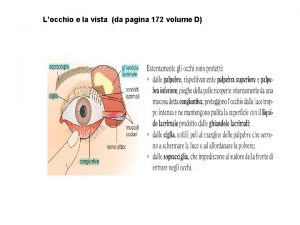 Locchio e la vista da pagina 172 volume