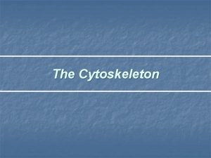 The Cytoskeleton Objectives 1 Define cytoskeleton 2 Explain