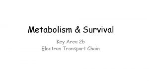 Metabolism Survival Key Area 2 b Electron Transport