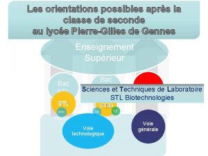 Les orientations possibles aprs la classe de seconde