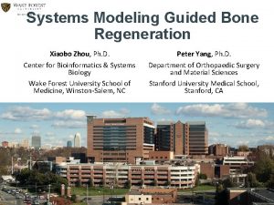 Systems Modeling Guided Bone Regeneration Xiaobo Zhou Ph