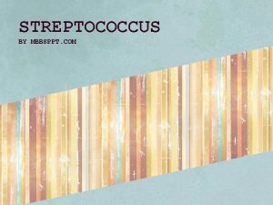 STREPTOCOCCUS BY MBBSPPT COM STREPTOCOCCI of medical importance