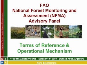 FAO National Forest Monitoring and Assessment NFMA Advisory