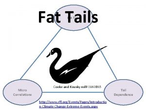 Fat Tails Micro Correlations Cooke and Kousky nsf