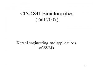CISC 841 Bioinformatics Fall 2007 Kernel engineering and