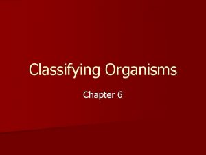 Classifying Organisms Chapter 6 Why do Scientists Classify