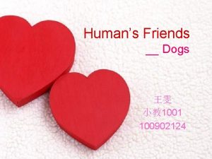 Humans Friends Dogs 1001 100902124 CONTENT Different dogs