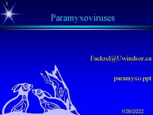 1 Paramyxoviruses FackrelUwindsor ca paramyxo ppt 1262022 2