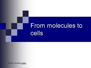 From molecules to cells 2007 Paul Billiet ODWS