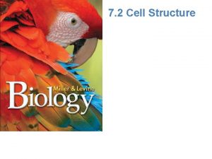 7 2 Cell Structure Cell Organization The eukaryotic