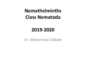 Nemathelminths Class Nematoda 2019 2020 Dr Mohammad Odibate