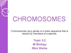 CHROMOSOMES Chromosomes carry genes in a linear sequence