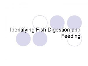 Identifying Fish Digestion and Feeding What are the