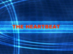 THE HEARTBEAT CARDIAC PHYSIOLOGY In a single heartbeat