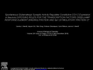 Spontaneous Glutamatergic Synaptic Activity Regulates Constitutive COX2 Expression