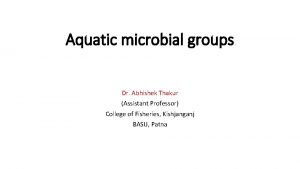 Aquatic microbial groups Dr Abhishek Thakur Assistant Professor