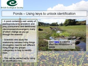 Ponds Using keys to unlock identification A pond