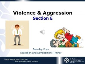 Violence Aggression Section E Beverley Price Education and