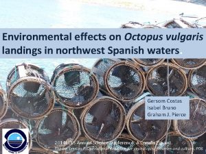 Environmental effects on Octopus vulgaris landings in northwest