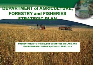 DEPARTMENT of AGRICULTURE FORESTRY and FISHERIES STRATEGIC PLAN