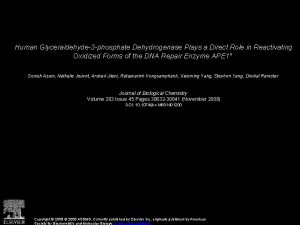 Human Glyceraldehyde3 phosphate Dehydrogenase Plays a Direct Role